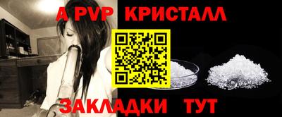 гашик Шебекино