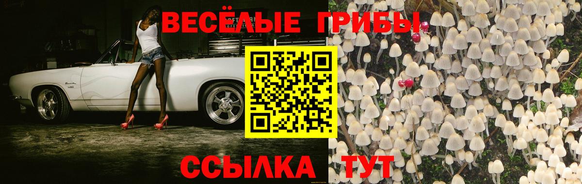 Псилоцибиновые грибы Psilocybe Верхняя Салда